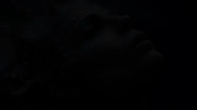 Coralune -  Crown Spiral