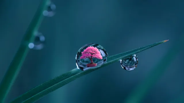 4K Ray2 within Dream Machine