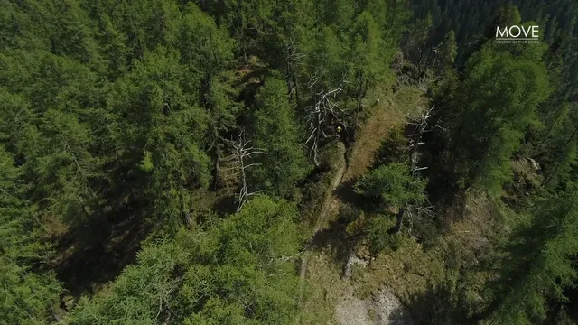 DOLOMITI DESTINATION - EP. 6