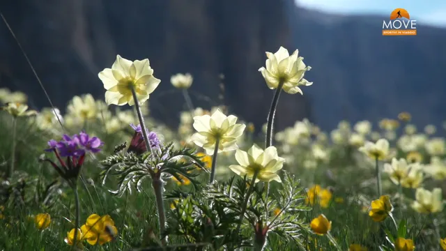 DISCOVER VAL DI FASSA EP. 3 - CLIMBING