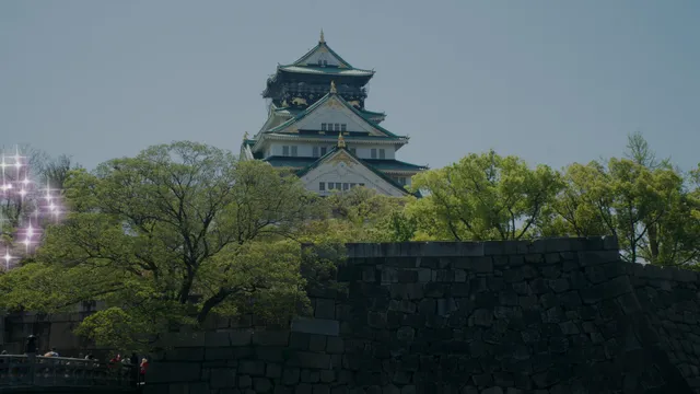 Episode 5- Osaka Castle & Rihga Premium outlet and Way back to Airport, Osaka .mp4
