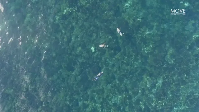 BLUE WATER - Season 1: Avventure sull'Acqua - Episode 1