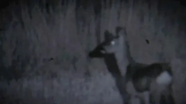 Philippe Stone "Oscuro casi negro"