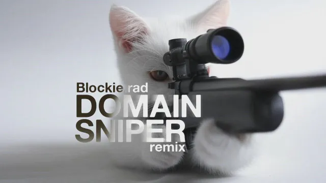 Domain Sniper Remix