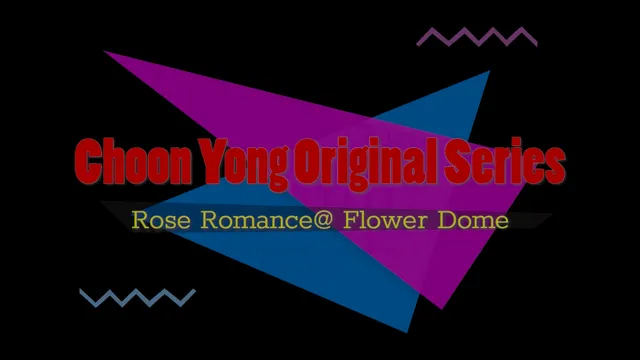 Choon yong original series - rose romance.MP4