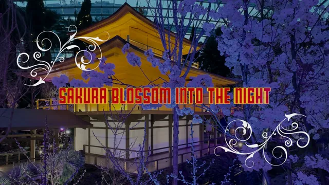 Choon Yong Original Series- Sakura Blossom into the Night@Flower Dome.mp4