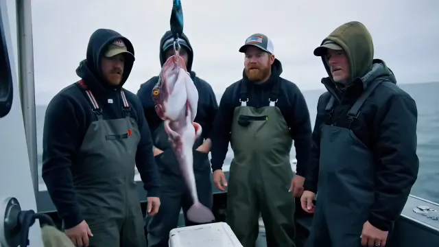 Deadliest Catch (Some things are better left in the ocean)