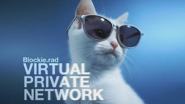 Virtual Private Network