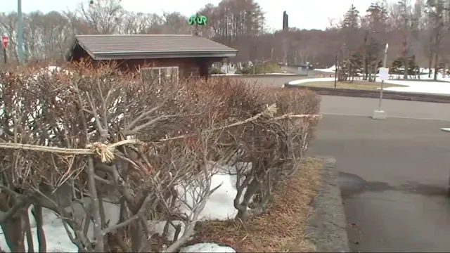 Hokkaido_Episode 3.mp4