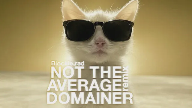 Not The Average Domainer Remix