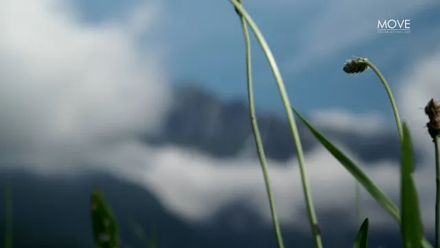 BLUE AIR - Season 1 - Ep.4: Le Ali dell'Uomo moderno Monte Avena - Parapendio