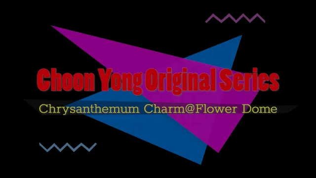 Choon Yong Original Series - Chrysanthemum Charm@Flower Dome.MP4