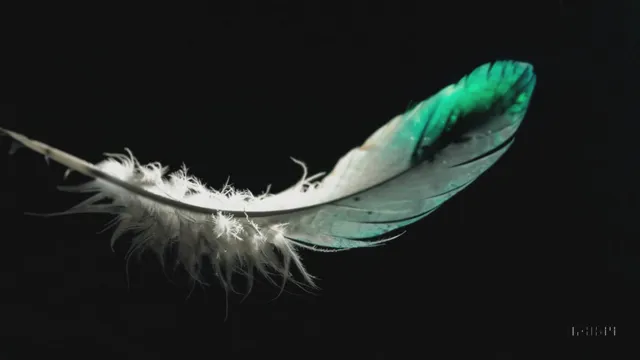 Whisper of the Echoes.