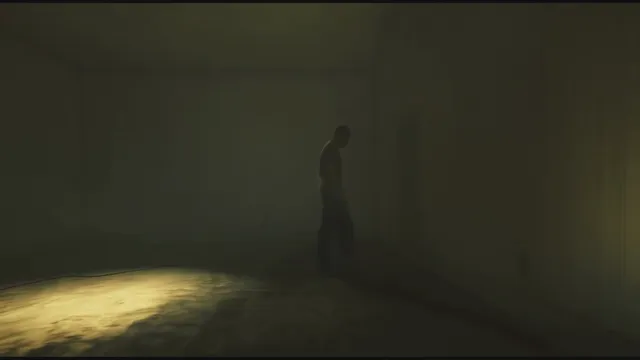 Shadows (House)