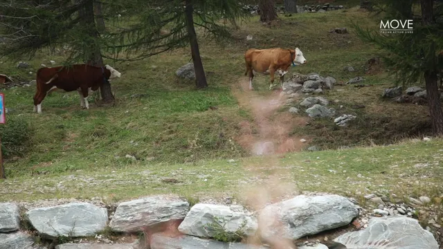 LE GRAVEL DEL COMMISARIO EP. 8 - VALCHIAVENNA