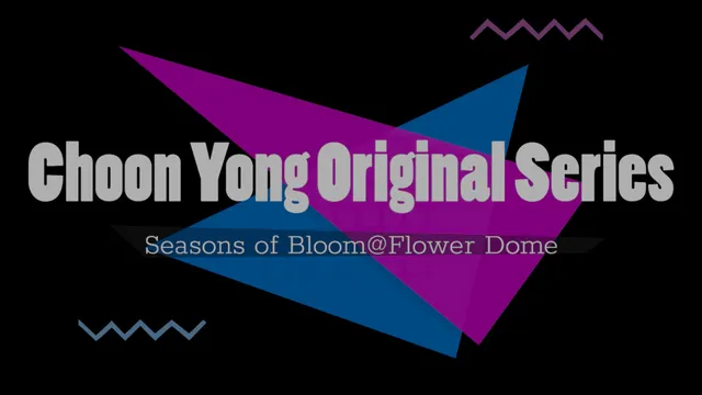 Choon Yong Original Series - Seasons of Bloom@Flower Dome .MP4