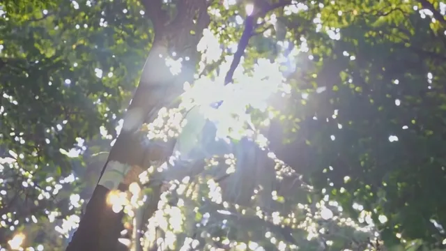 An Adventure.mov