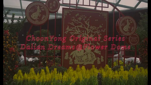 Choon Yong Original Series- Dahlia Dreams@Flower Dome.MP4