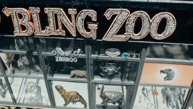 Zoo Bling - AI Music Video - OpenAI Sora Visuals with SunoAI Audio