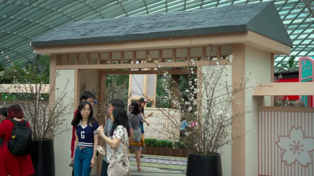 Choon Yong  Original Series- Sakura@Flower Dome.mp4