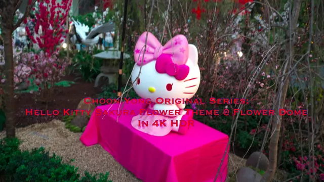 Choon Yong Original Series_ Hello Kitty Sakura Theme@Flower Dome at Gardens by the Bay.MP4