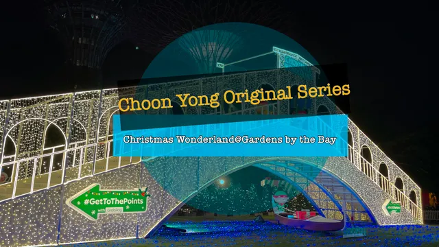 Choon Yong Original Series- Christmas Wonderland 2021@ Gardens by the Bay.mp4