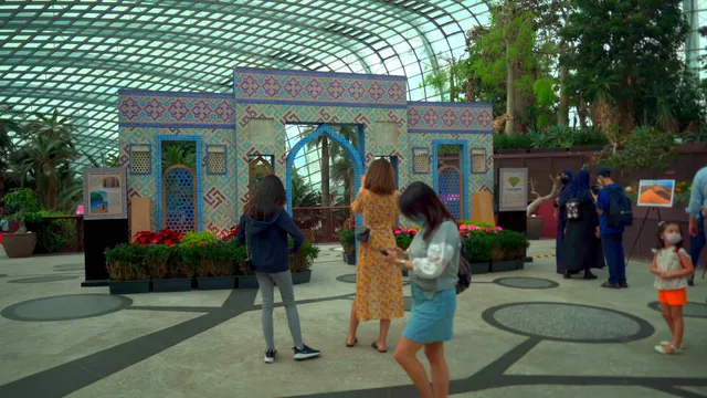 Choon Yong Original Series -Tulips@Flower Dome.mp4
