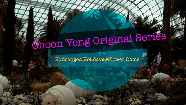 Choon Yong Original Series- Hydrangea Holidays & Cloud Forest.MP4