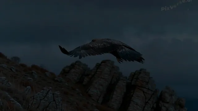 The November Steppe Psalms - Eagle Over Zion