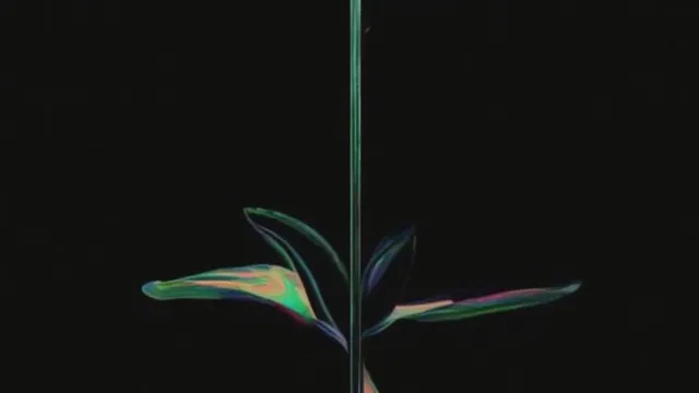 FLOWER SS