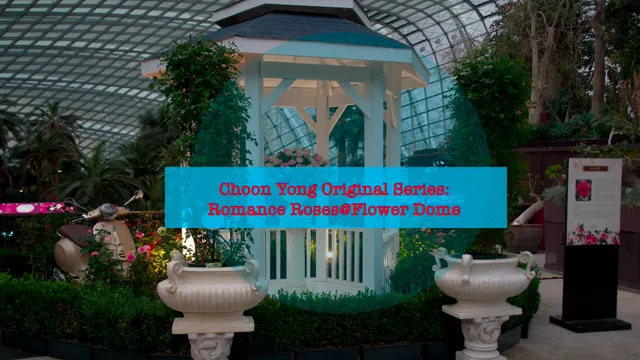Choon Yong Original Series_ Romance Roses@Flower Dome.mp4
