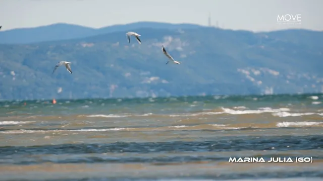 BLUE WATER - Season 1: Avventure sull'Acqua - Episode 6