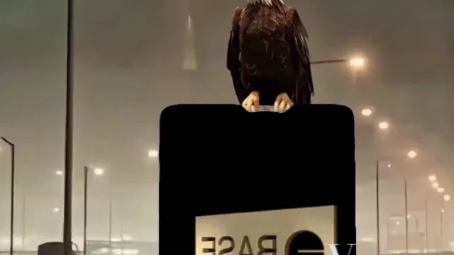 GOLD BASE 🦅