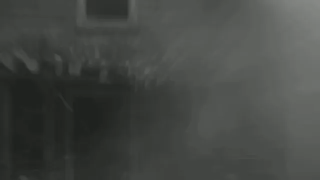 Twisted Genetics.mp4