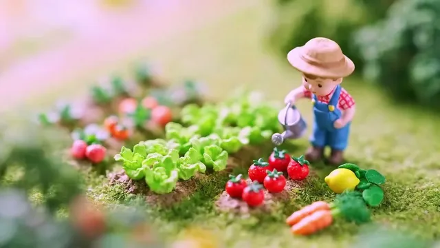 Little Wonders