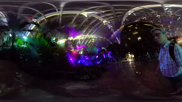 Avatar Immersive Experience at Cloud Forest