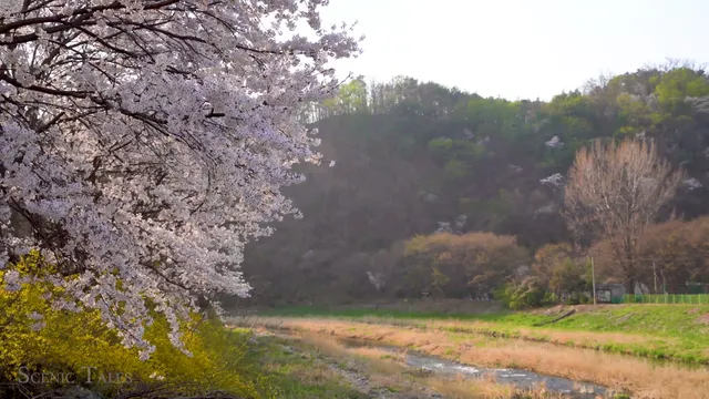 Japan 4K – Relaxing Scenery & Hidden Gems with Calming Music
