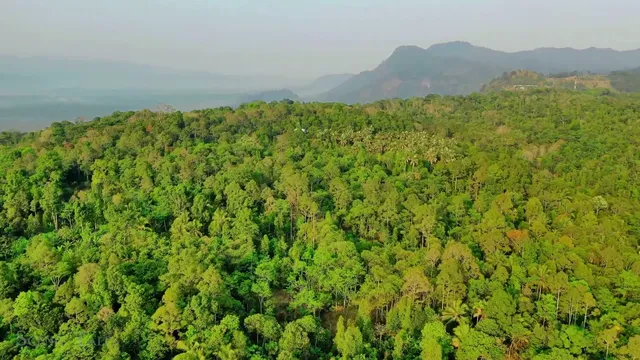 Indonesia 4K – Relaxing Scenery & Hidden Gems with Calming Music