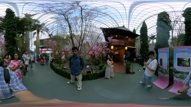 Sakura Featuring Sanrio Characters@Flower Dome