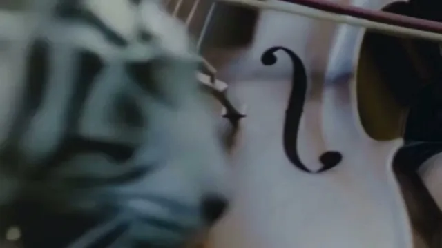A City Holding Its Breath.mp4