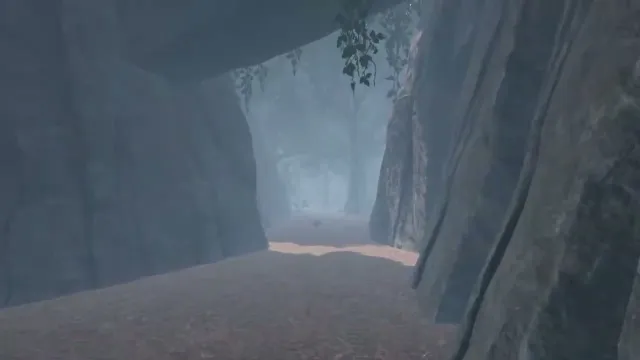 Getting to the Shipwreck in Bootstrap Island.