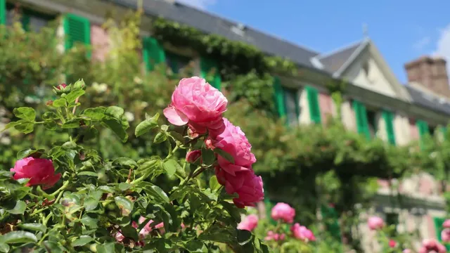 A Painter's Paradise - The Truth Behind Monet's Legendary Garden