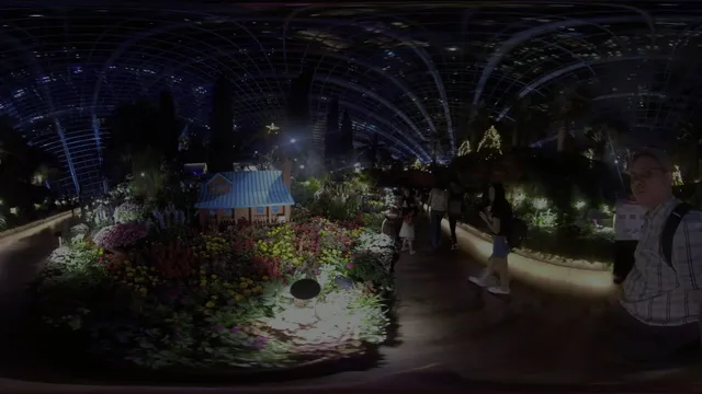 Choon Yong 360 Series - Seasons of Bloom@Flower Dome 4K.mp4