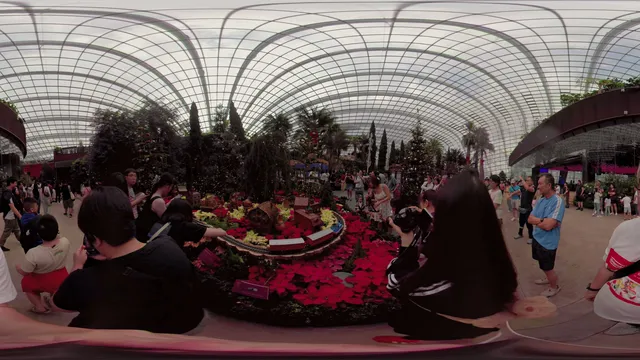 Choon Yong 360 Series-Christmas Train Show@Flower Dome