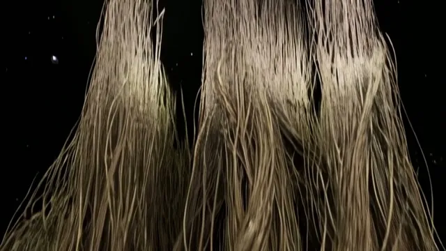 Zenith Apex - The Bloom of the Void