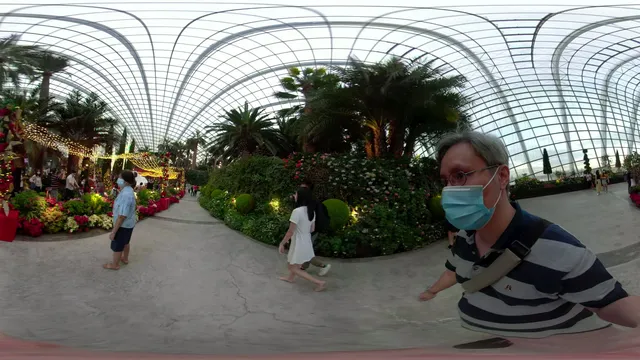 Choon Yong 360 Series- Christmas at Garden By The Bays VR Walk .mp4