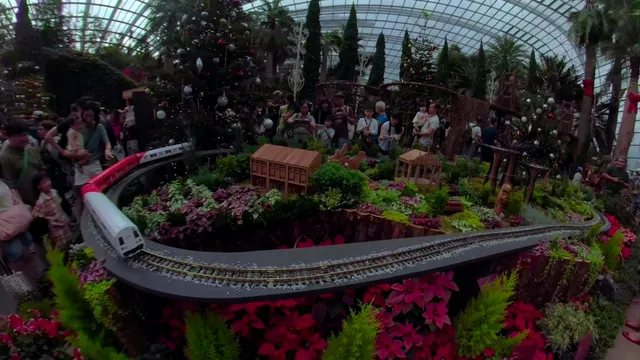 Choon Yong Original Series - Christmas Train Show.@Flower Domemp4.mp4