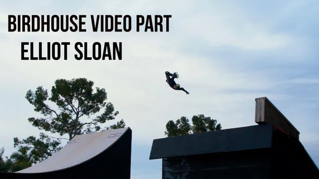 Birdhouse Video Part 2020