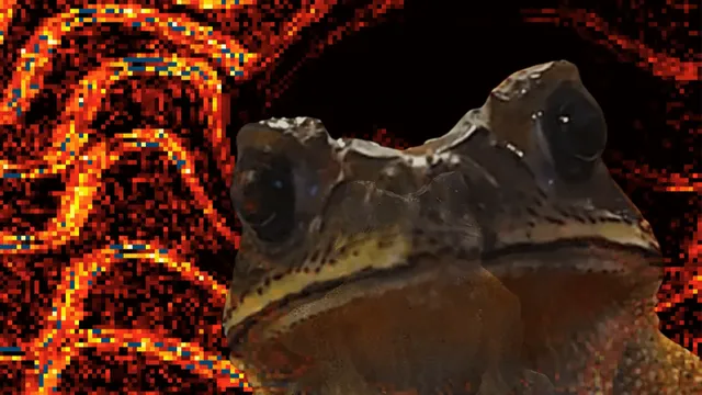 Untold Croaks - Roadhouse