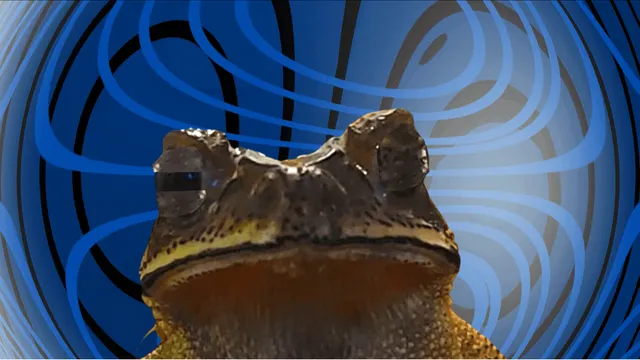 Untold Croaks - The Hangover